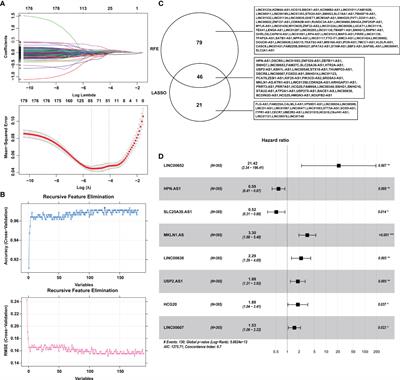 Tumor Mutation Burden-Associated LINC00638/miR-4732-3p/ULBP1 Axis Promotes Immune Escape via PD-L1 in Hepatocellular Carcinoma